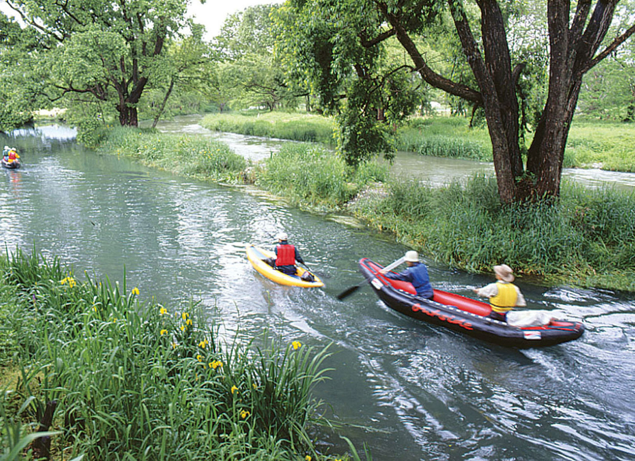 Rafting by the Wasabi Farm River